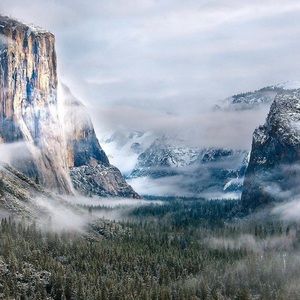 Meet your Posher, Jesse